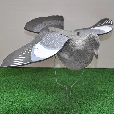Simulation Pigeon